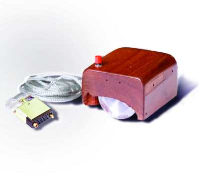 sri_computer_mouse.jpg