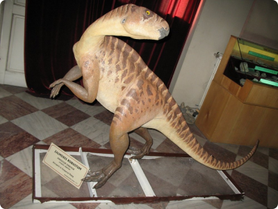 magyarosaurus.jpg